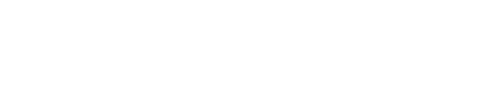 Valentin Silvin Logo